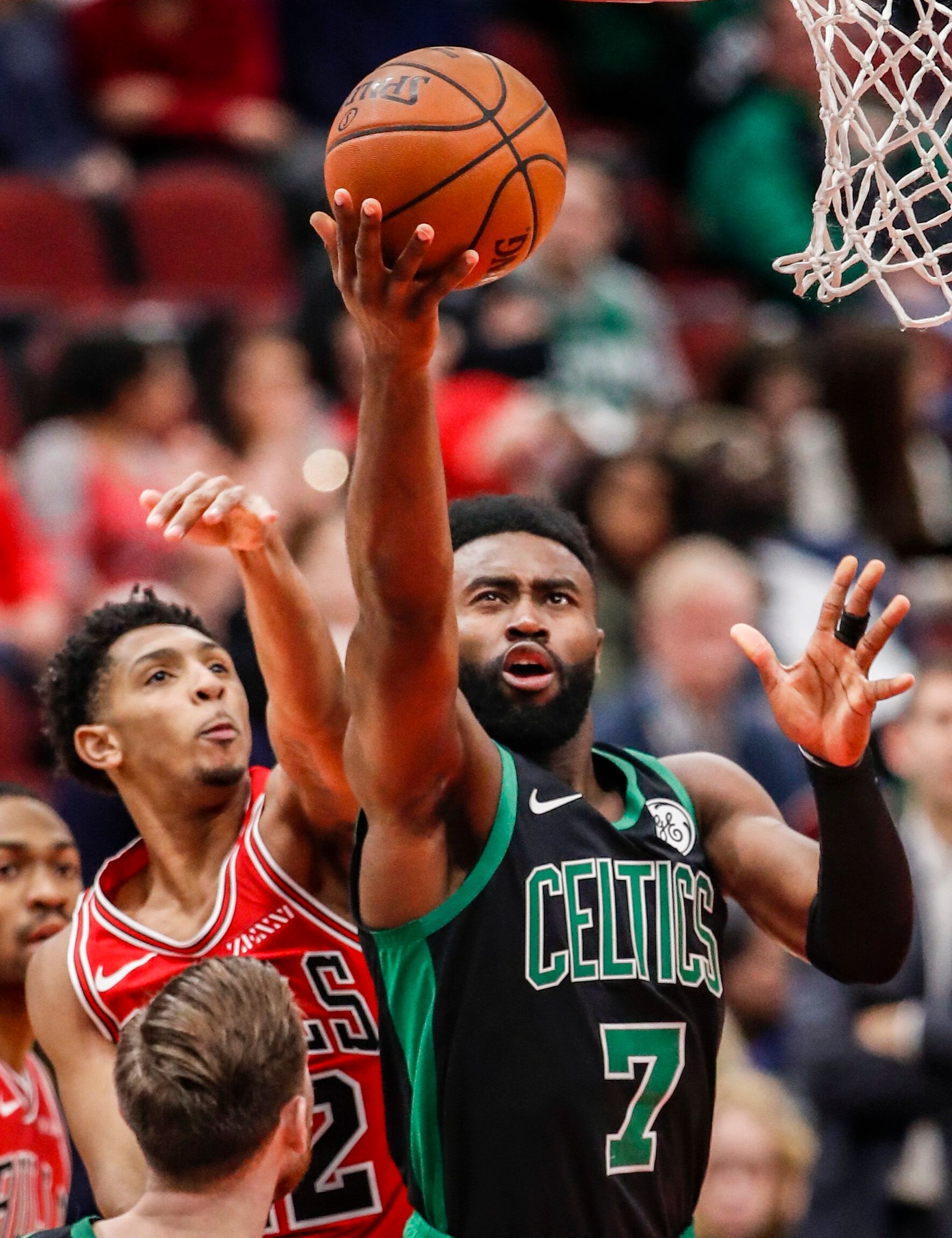 己的表现书 己的表现书